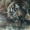  Sergei,  -  22  2010   
