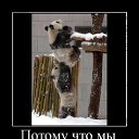 ���� ��������, �������, 64 ���� - ��������� 5 ����� 2010 � ������ ��������������