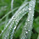 ���� Tanechka, ��������� - ��������� 16 ���� 2012 � ������ ����� �������