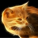 , , 84  -  21  2010   PetLove