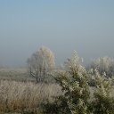 ���� �������, �������, 57 ��� - ��������� 16 ������ 2012 � ������ ����� ������� �����