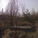  ,  -  23  2012   ѻ