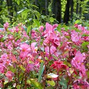 ���� �����, �������, 56 ��� - ��������� 13 ������� 2012