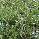 ���� ������, ������� - ��������� 4 ������ 2010 � ������ ���� ���