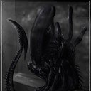  Xenomorph, , 53  -  9  2011   