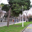 ���� �����, ����������, 59 ��� - ��������� 17 ������ 2011 � ������ �Istanbul 2010�
