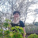 ���� ����������, ������, 58 ��� - ��������� 23 ��� 2013 � ������ ���