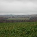  , , 56  -  24  2009      !!!