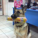 ���� �������, ������������, 48 ��� - ��������� 19 ������ 2012 � ������ ���� ����������