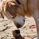   ( - !), , 59  -  5  2013     