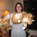 ���� �������, �������, 59 ��� - ��������� 7 ������� 2010 � ������ �������