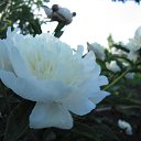 ���� ������, ������ - ��������� 25 ��� 2012 � ������ ���� ����������