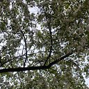 ���� �������, ������ ��������, 55 ��� - ��������� 14 ������ 2012 � ������ ���� ������� �����