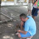  , , 41  -  3  2013   ߻