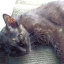 ���� �����, ����������� - ��������� 14 ������ 2013 � ������ ���� ����������