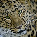 ���� Ice, ������ - ��������� 15 �������� 2012 � ������ �������