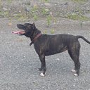 ���� &deg;&bull;*������&deg;&bull;*, ����������, 23 ���� - ��������� 12 ��� 2010 � ������ ������ �� �����...�