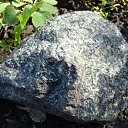 ���� �������, ������� - ��������� 17 ������ 2010 � ������ �������