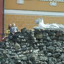 ���� �����, ���������, 37 ��� - ��������� 23 ������� 2010