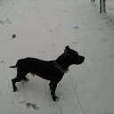 ���� �������, ����������, 38 ��� - ��������� 23 ������� 2011 � ������ ���� ����������