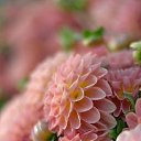 ���� ����� - ���������� ��������!!!, �����������, 56 ��� - ��������� 11 ������ 2010 � ������ ����������