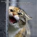 ���� ����, ����������� - ��������� 10 ������� 2010 � ������ ������� ���� �������) ����� 2�