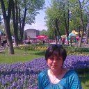 ���� �����, ����������, 50 ��� - ��������� 20 ���� 2012 � ������ ���� ����������