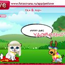  , , 23  -  16  2011   PetLove