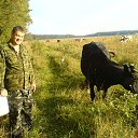 � ������� ������ ��� ������?