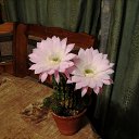 ���� ����, �����-���������, 48 ��� - ��������� 26 ����� 2010 � ������ �������