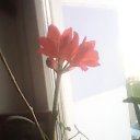 ���� ��������, ������� - ��������� 29 ������ 2012 � ������ ���� ����������