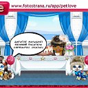 ���� ����, �����������, 58 ��� - ��������� 4 ���� 2011 � ������ �PetLove�
