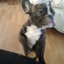 ���� ���, �������, 41 ��� - ��������� 26 ��� 2013 � ������ ���� ����������