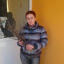 ���� ����, ��������� - ��������� 23 ����� 2012 � ������ ���� ����������
