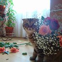 ���� �����, ������, 51 ��� - ��������� 4 ������ 2013 � ������ ���� ����������