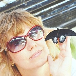 ���� �������� �� �������...., ���, 53 ���� - ��������� 5 ������� 2012