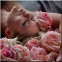 ���� ������, ������, 33 ���� - ��������� 14 ���� 2013 � ������ ���� ����������