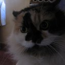 ���� ���, ������������ - ��������� 24 ������ 2012 � ������ ������