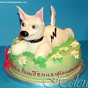 ��� ������ ����� �� ������� ������!!!!!!!!!!!!!!!!!!!!!!!!!!!!!!!!!!!!!!!!!!!!!!!!!!!�