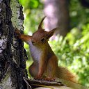 ���� �����, ����������, 41 ��� - ��������� 14 ������� 2012