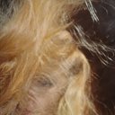 ���� �������, ������, 54 ���� - ��������� 10 ������ 2012 � ������ �������