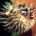 ���� ������� �����, ���, 59 ��� - ��������� 1 ������ 2010 � ������ ������... �������...�