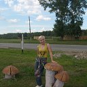 ���� �����, �����������, 55 ��� - ��������� 11 ���� 2013 � ������ ���� ����������