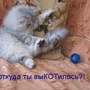  , ,  -  10  2013   ! :))))))))))))
