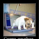 ���� �����, ���������, 51 ��� - ��������� 9 ������ 2012 � ������ �������