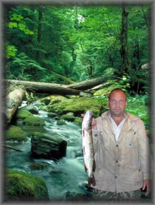 ����, ���, 60 ���