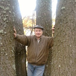 �������� �����, ���������, 63 ����