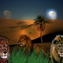 ���� �������, ��������, 44 ���� - ��������� 22 ������ 2010 � ������ ��� ����� ��������.�