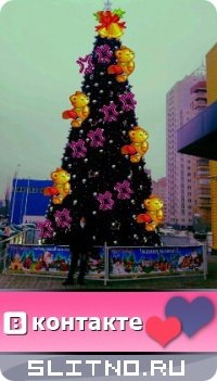 ���� ��������, ������, 51 ��� - ��������� 27 ����� 2013