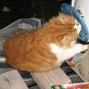 ���� ������, �����-���������, 60 ��� - ��������� 6 ����� 2012 � ������ ���� ����������